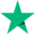 Digital Download Store Trustpilot Logo